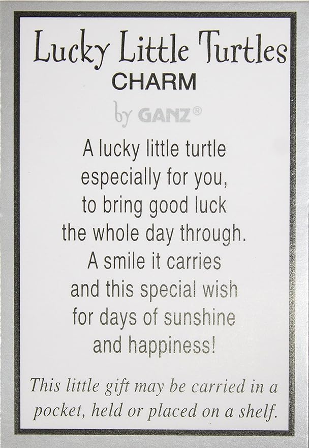 Turtle Pocket Token