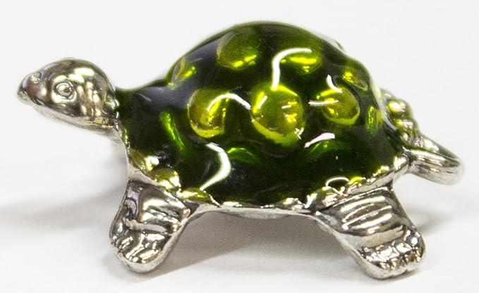 Turtle Pocket Token